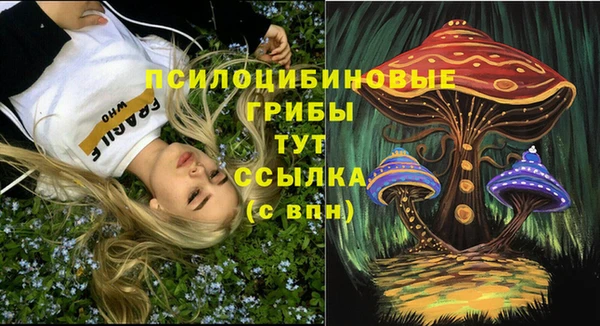 spice Белокуриха