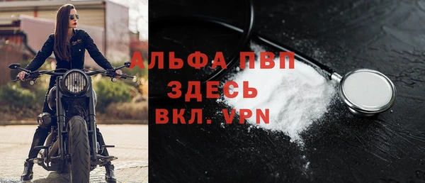 spice Белокуриха